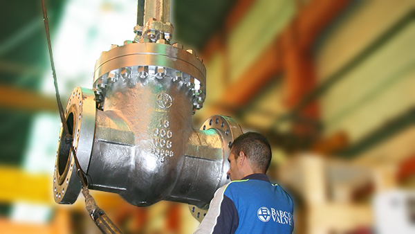 wedge gate valves