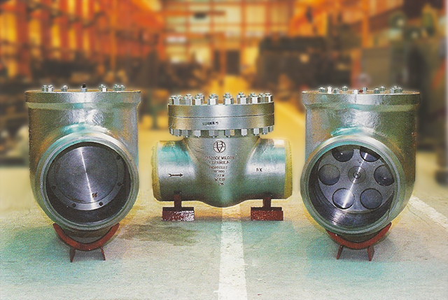 hydrotest check valves