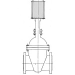 pneumatic operator