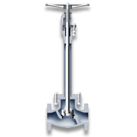 Cryogenic globe valve