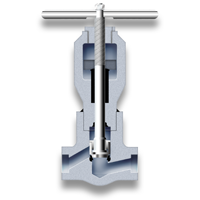 Globe stopcheck valve