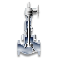 globe stopcheck valve