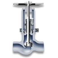 Globe stopcheck valve
