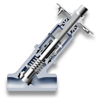 Y globe stopcheck valve