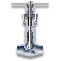 Bellows seal Y globe valve