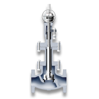 Bellows seal globe valve