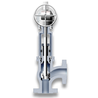 Angle stopcheck valve