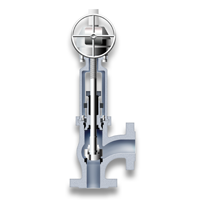 Angle globe valve