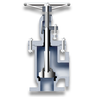 Angle stopcheck valve