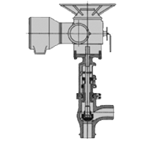 Globe valves | Babcock Valves