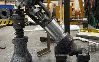Two Bellows Seal Y-Pattern globe valves for Cofrentes Nuclear Power Plant