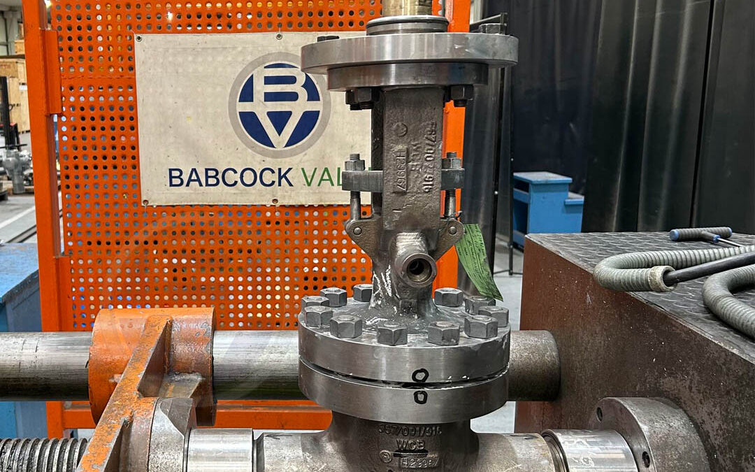 Wedge gate valve for nuclear industry