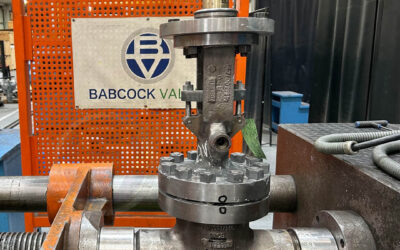 Babcock Valves’ Advanced Testing for the Nuclear Industry